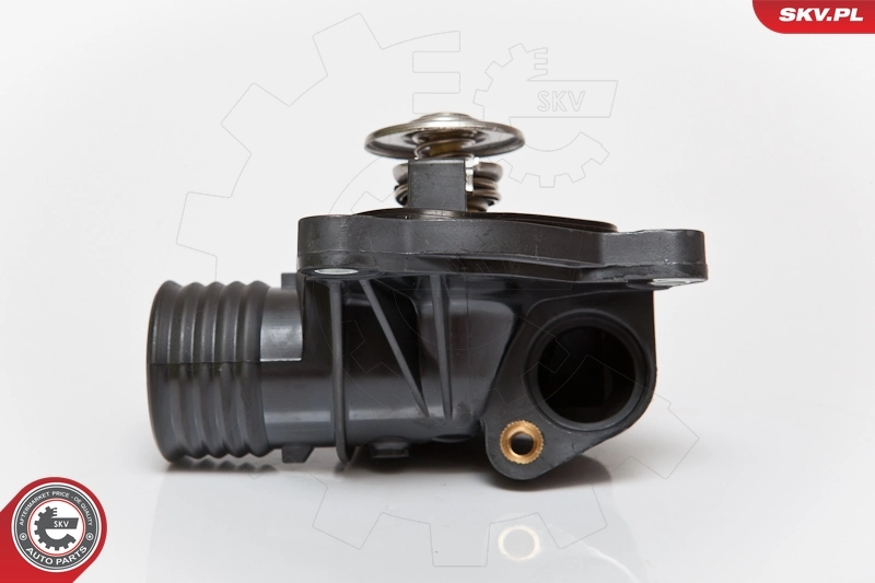 Thermostat, coolant
